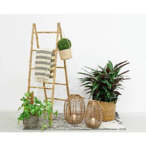 Double Ă©chelle En Bambou â Image 2