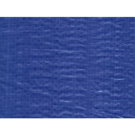 BĂąche De Protection 100g Avec Oeillets - Bleu 2m X 3m